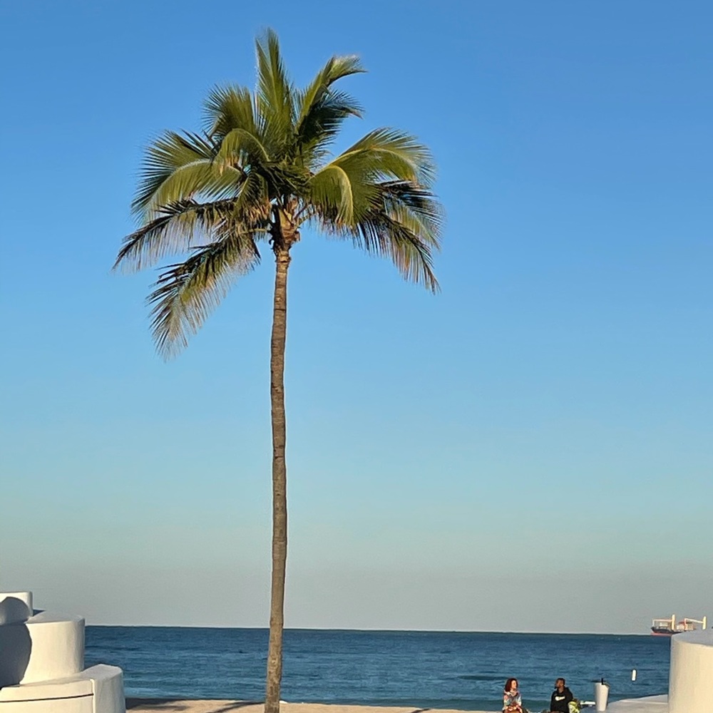 Meet your Posher, Lucia